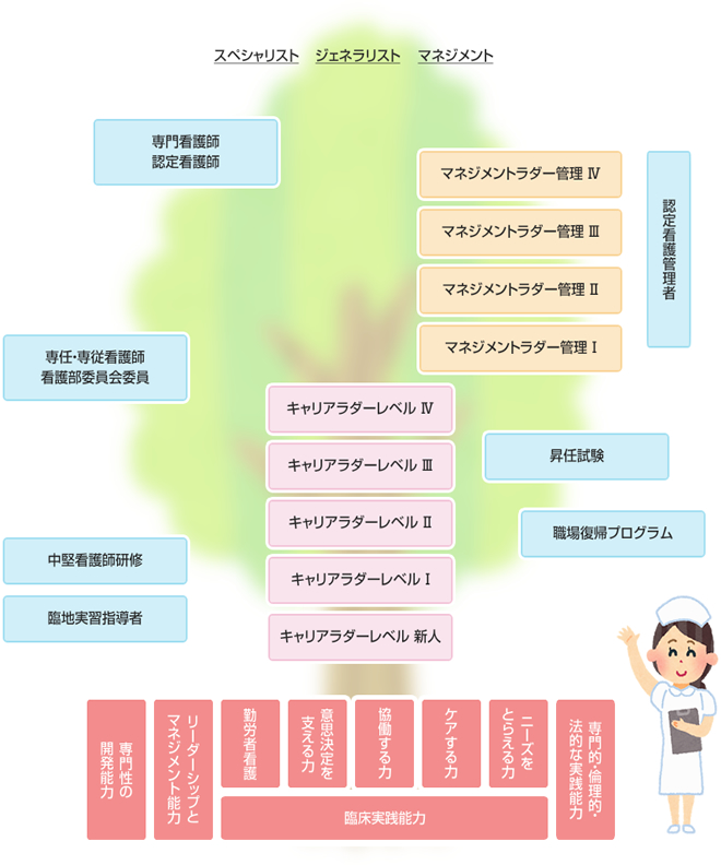 秋田労災病院キャリアラダー