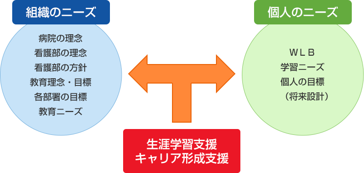 組織と個人のニーズに合わせた支援